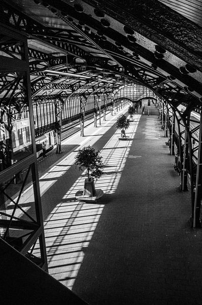 Bahnhof 's-Hertogenbosch von Lieke Roodbol