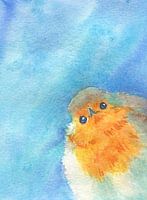 Fluffy robin says hello