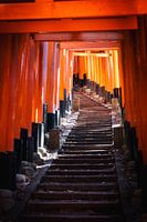 Torii-poorten van Fushimi Inari