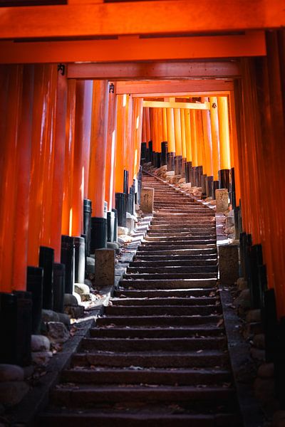 Portes Torii de Fushimi Inari par Studio Graber