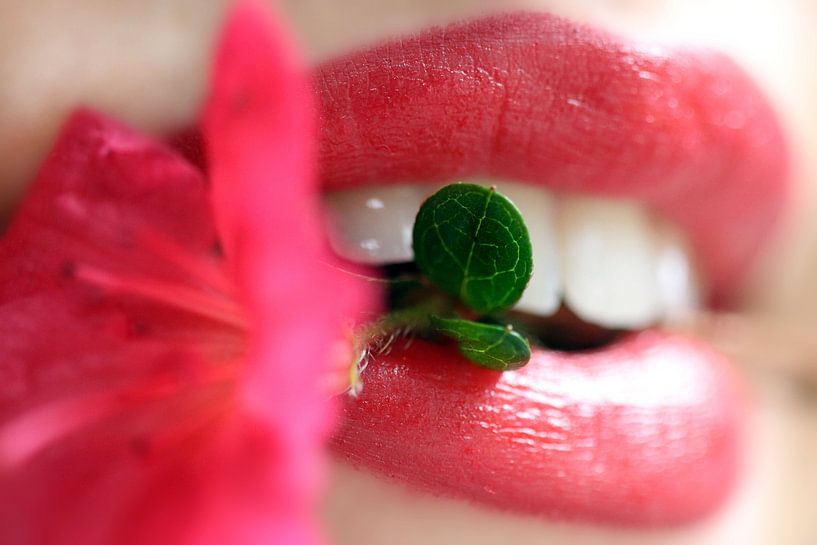 Verführerische Lippen von Felisa Friedman