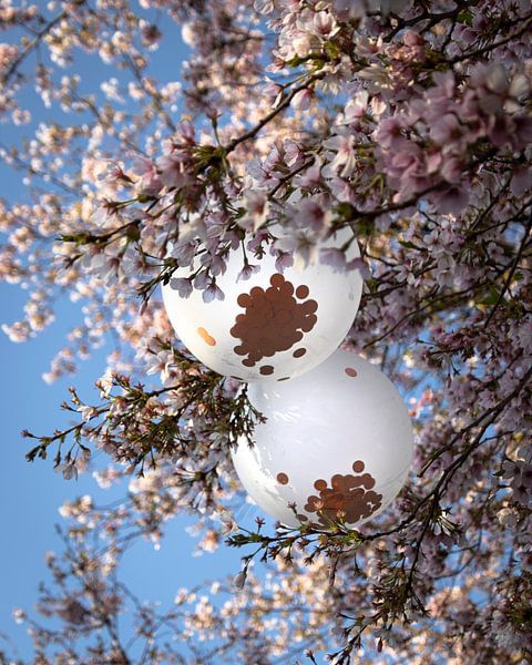 Balloon in Blossom by Fleur Lamers