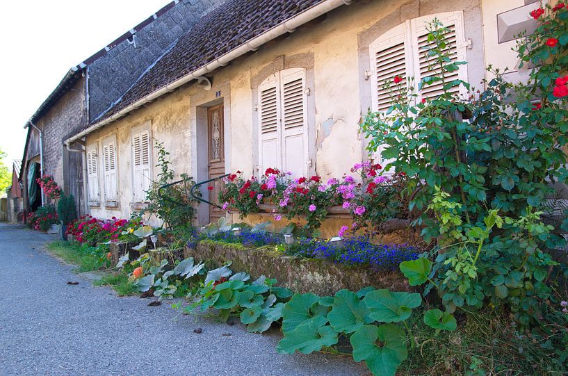 Coquette by Georges Rudolph