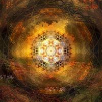 Mandala flower meadow at sunset