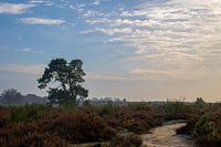Winterwetter bei der Posbank
