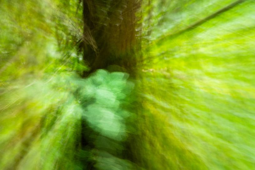 Abstract photography by Betty Verheij