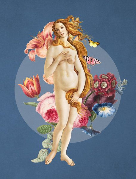 Botticelli's Venus von Marja van den Hurk