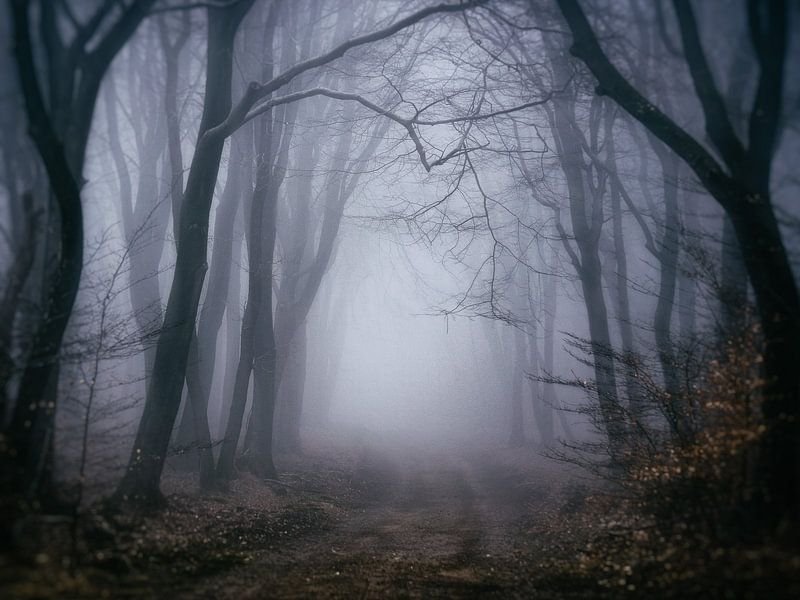 Solitude profonde par Tvurk Photography