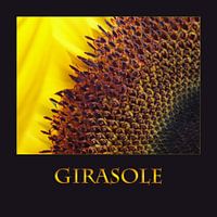 Girasole