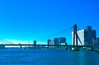 Rotterdam - Willemsbrug en omgeving - in blauw/grijs tinten