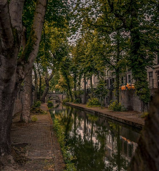 Nieuwe gracht in de zomer by Verliefd op Utrecht