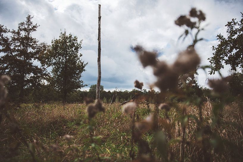 Blick über das Land von Bjorn Cornelissen