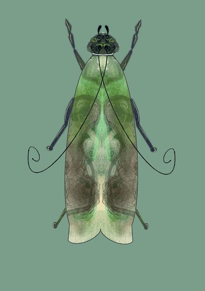 Grüne Motte auf grünem Hintergrund von Angela Peters