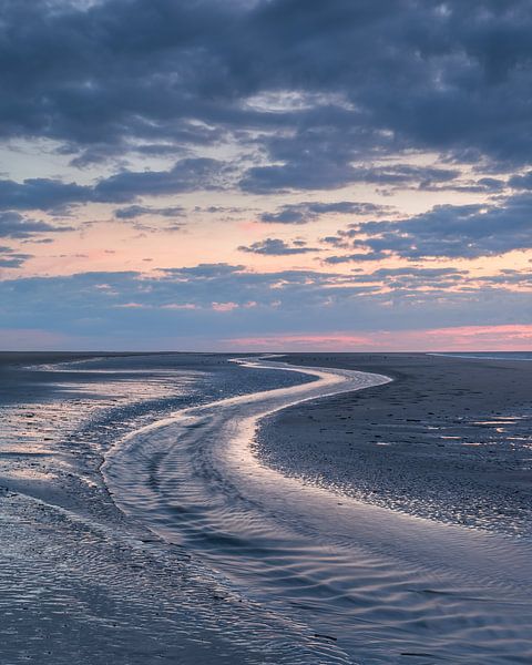 Avec le courant ! par Karin de Bruin