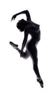 Fine Art Dance ...