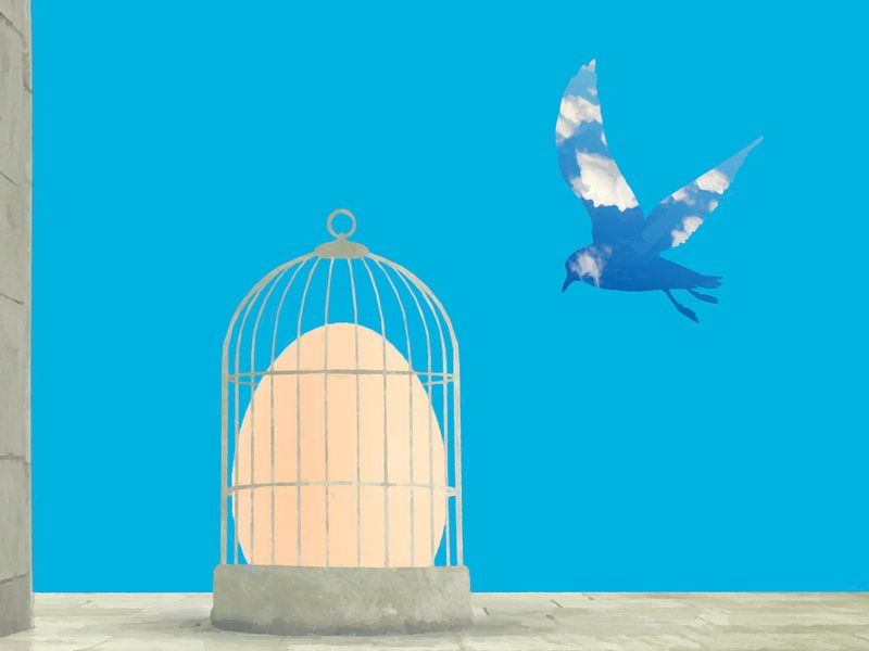 The cage by Catherine Fortin