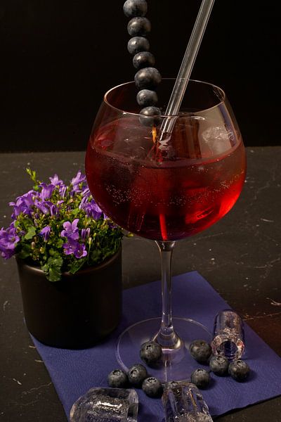 Réunion de gin aux myrtilles dans l'eau. par Babetts Bildergalerie