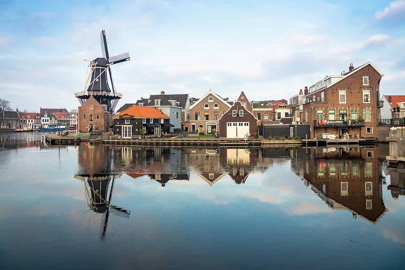 Molen in Haarlem in de winter by Michel van Kooten