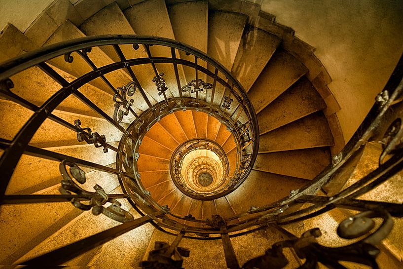 Lines by Sandra Kuijpers