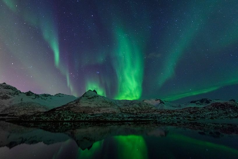 Northern Lights, Aurora Borealis over the Lofoten Islands in Nor by Sjoerd van der Wal Photography