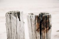 Twee palen paalhoofd