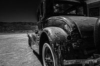 Das Aussehen von Hackberry