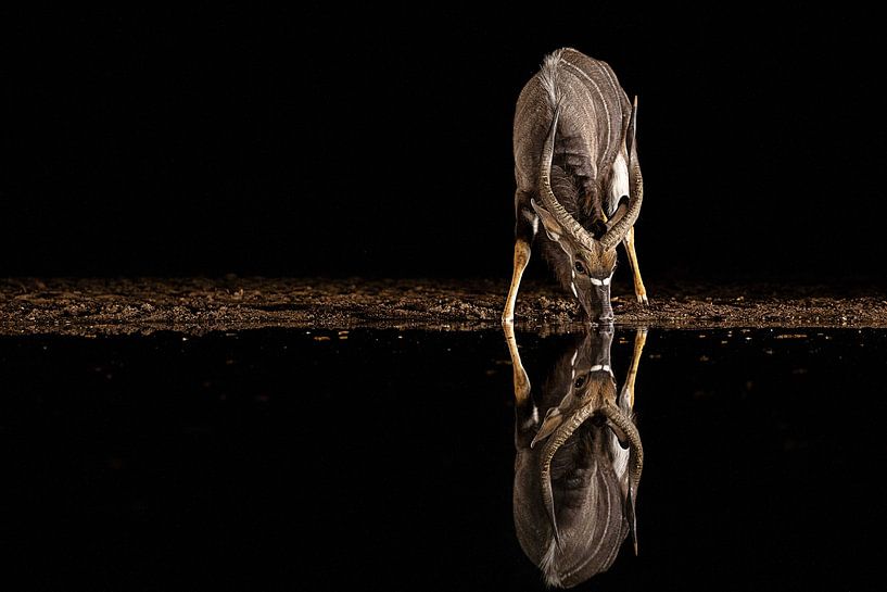 Ohne Titel von Amnon Eichelberg