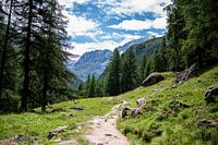 Wanderweg durch die Schweizer Berge