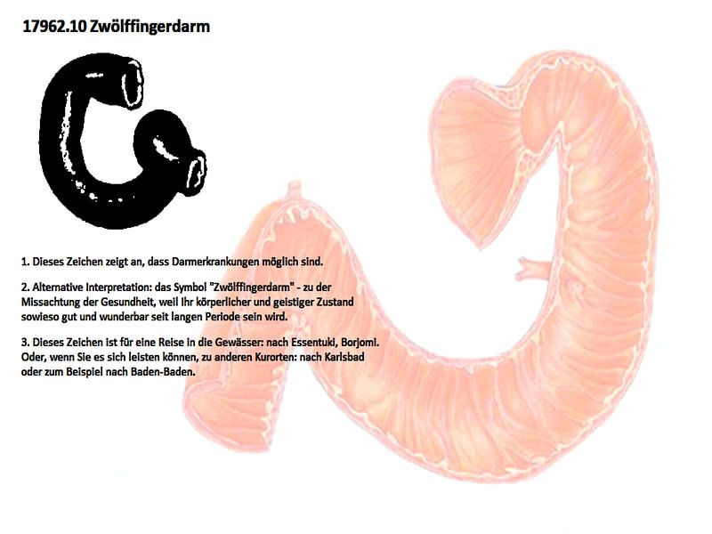 Duodenum 17962.10 by Vladimir Zykunov
