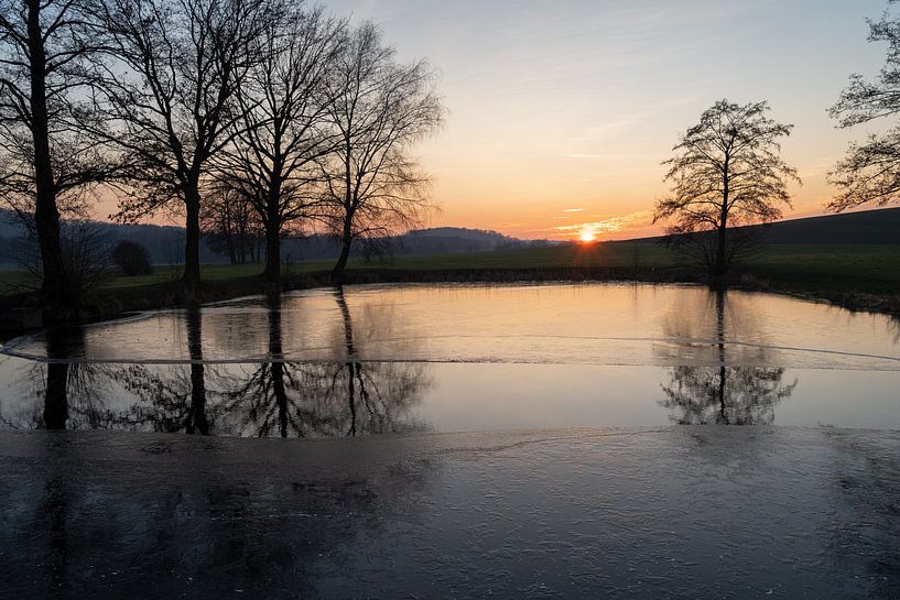 Sonnenlicht, gefrorenes Wasser und Bäume im Winter von Adriana Müller