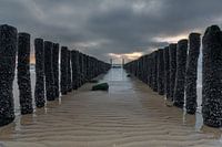 Between the Breakwaters