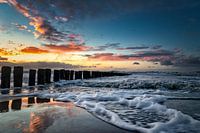 Pole an der Küste von Zeeland