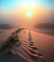 Sonnenaufgang in den Dünen.