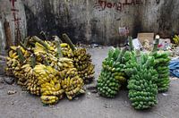 Allons-y pour les bananes
