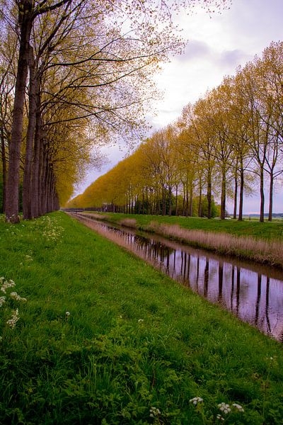 Frühlingsfarben entlang der Uferpromenade in Sint-Laureins (Belgien) - Vertikal von FotoGraaGHanneke