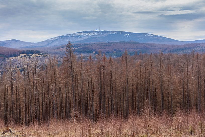 Uitzicht vanaf de Rabenklippe naar de Brocken van Torsten Krüger