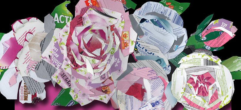 Rozen van Ruud van Koningsbrugge