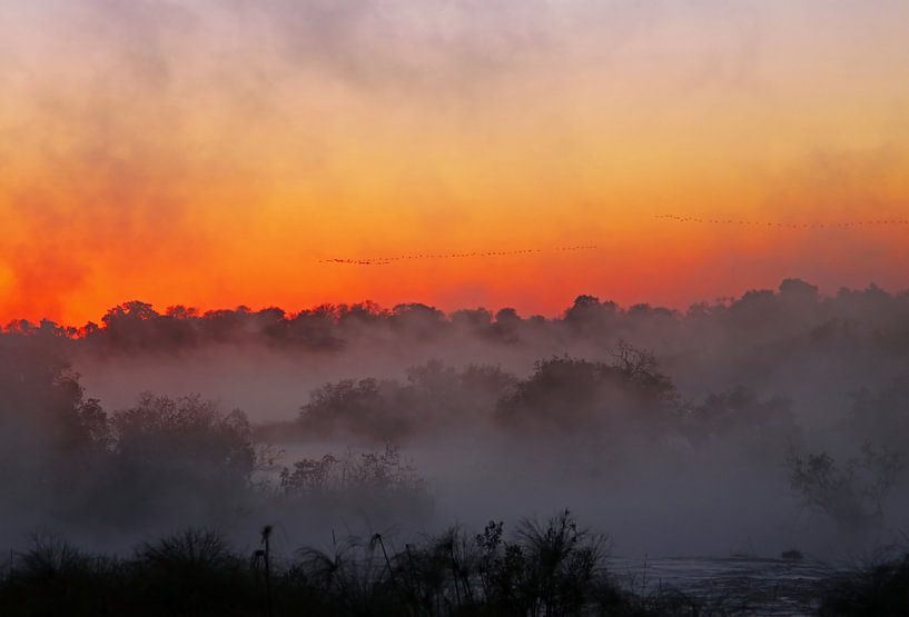 Morgennebel an einem Fluss in Afrika von WiWo