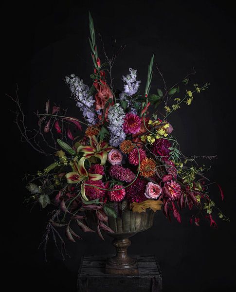 Herbstträume von Wietske Lavrijssen