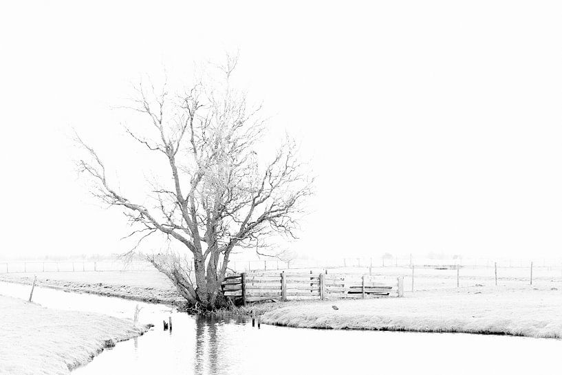 Polderlandschap von Marc Arts