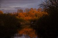 Sonnenuntergang am Wasser