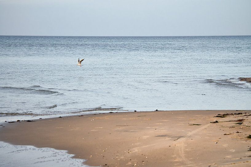 Sur la plage de sable de la mer Baltique par Martin Köbsch