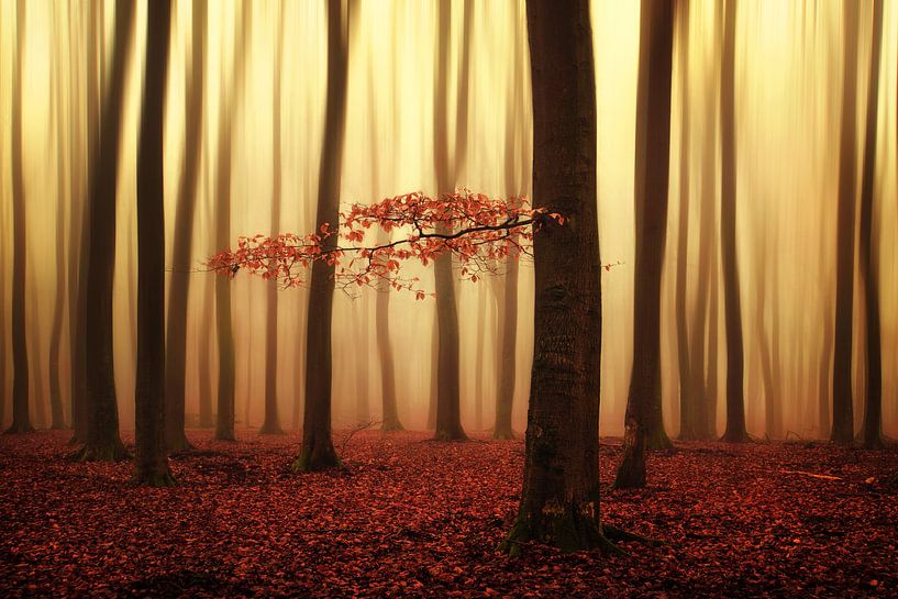 Fading memories by Martin Podt