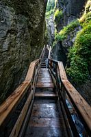 Entrez dans le Centre d'harmonie naturelle de Sigmund-Thun-Klamm