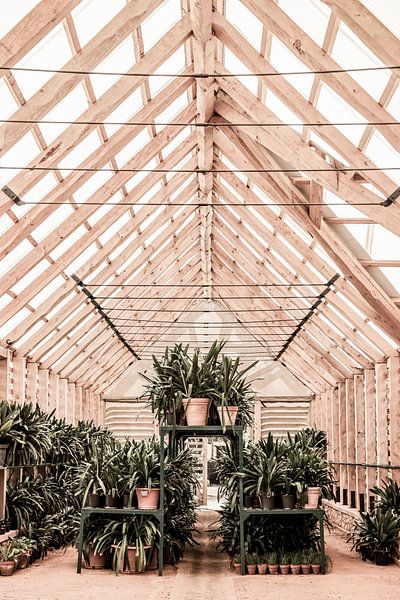 Serre sereine par Shot by Clint