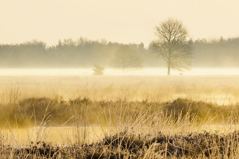Zonsopkomst op het Hijkerveld par Karla Leeftink