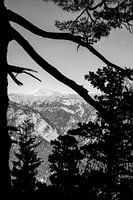 Witte Bergen uitzicht in Kreta