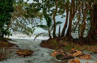 Costa Rica: Cahuita National Park