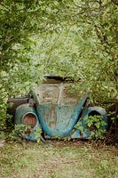 Autofriedhof Bastnäs Schweden, alter volkswagen käfer