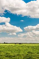 Vers gemaaid boerenland